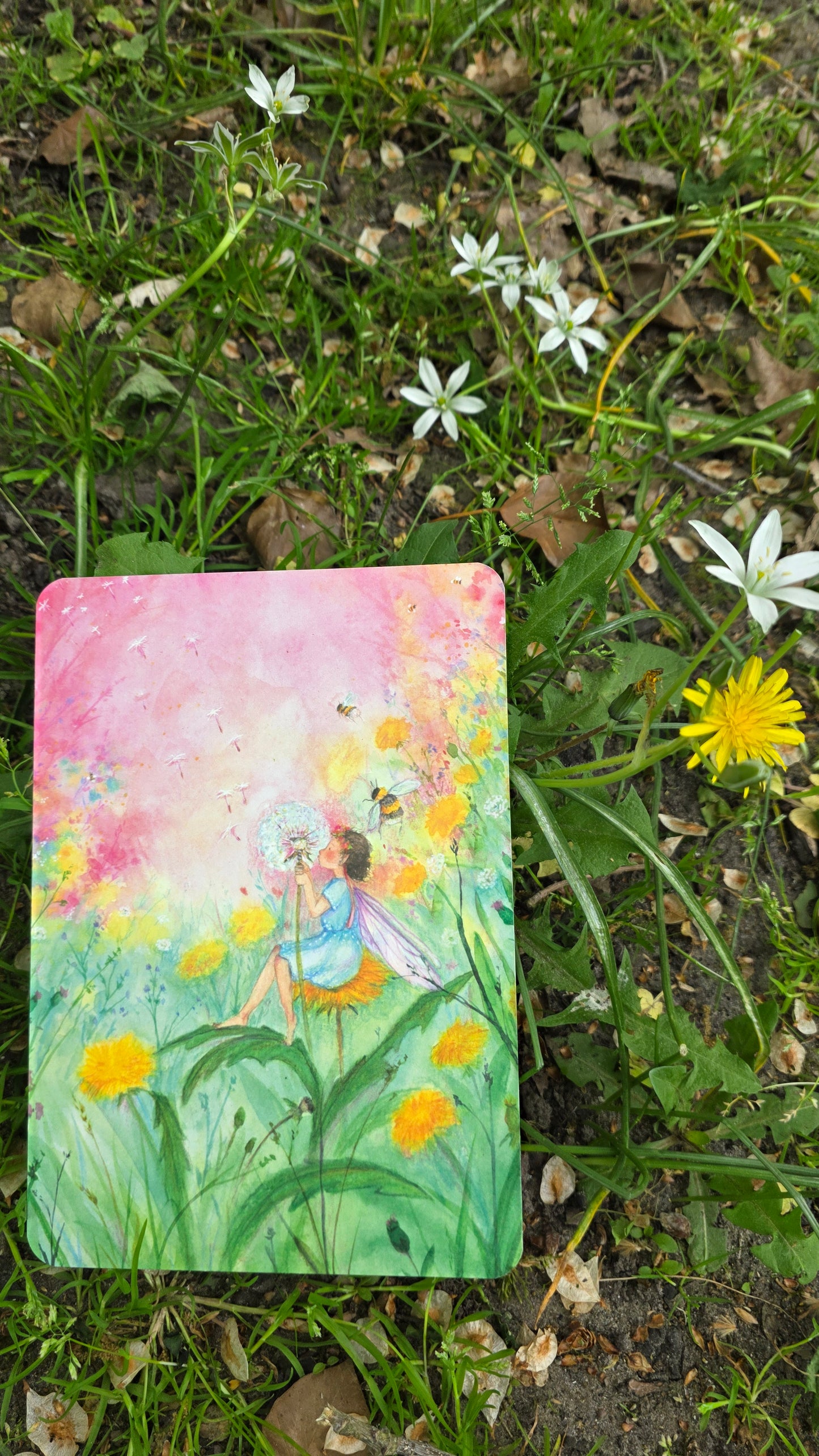 Paardenbloem elfje