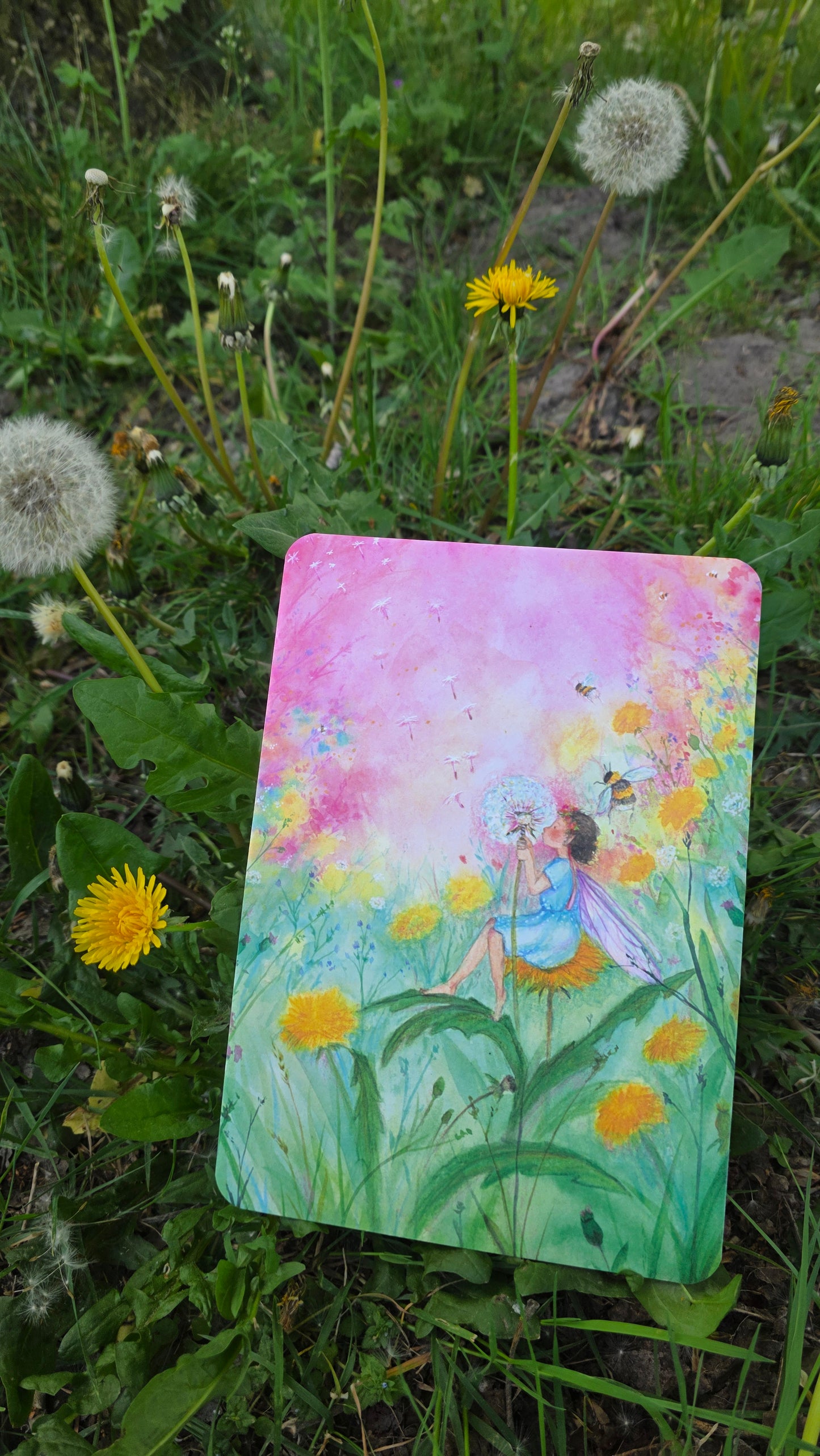 Paardenbloem elfje