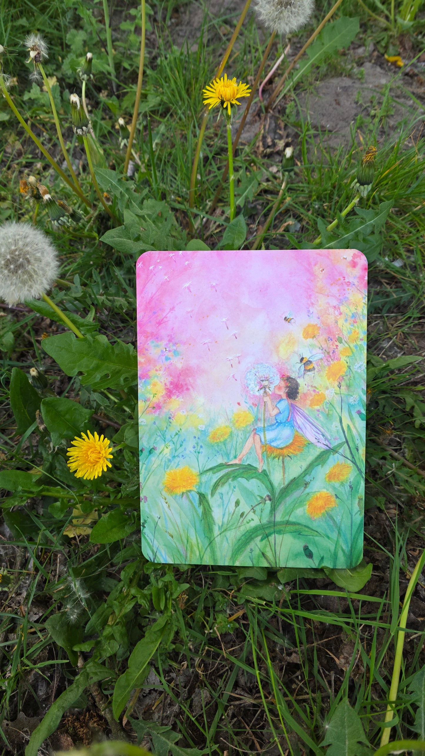 Paardenbloem elfje